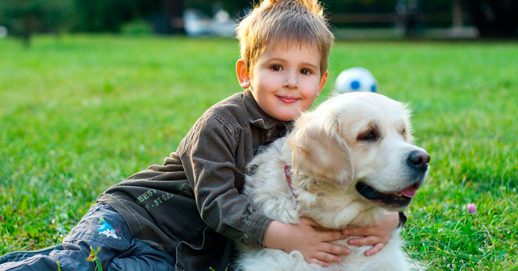 De 10 mest børnevenlige hunderacer