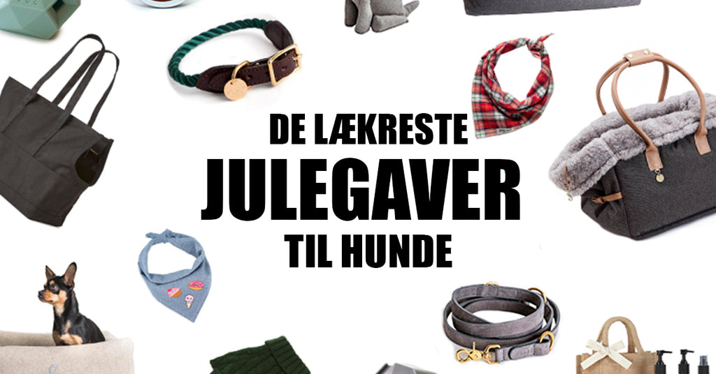 24 julegaveidéer til din hund