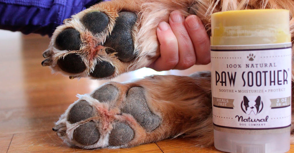 Derfor er Natural Dog Companys produkter så populære