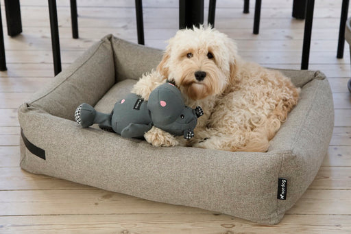 Hundekurve, hundepuder og hundetæpper