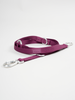 Performance line (burgundy)