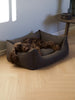 BILLY Bouclé hundeseng (mocca)
