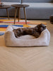 OSCAR fløjl hundeseng (cappuccino)