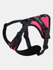 Julius-K9 y-sele (pink)