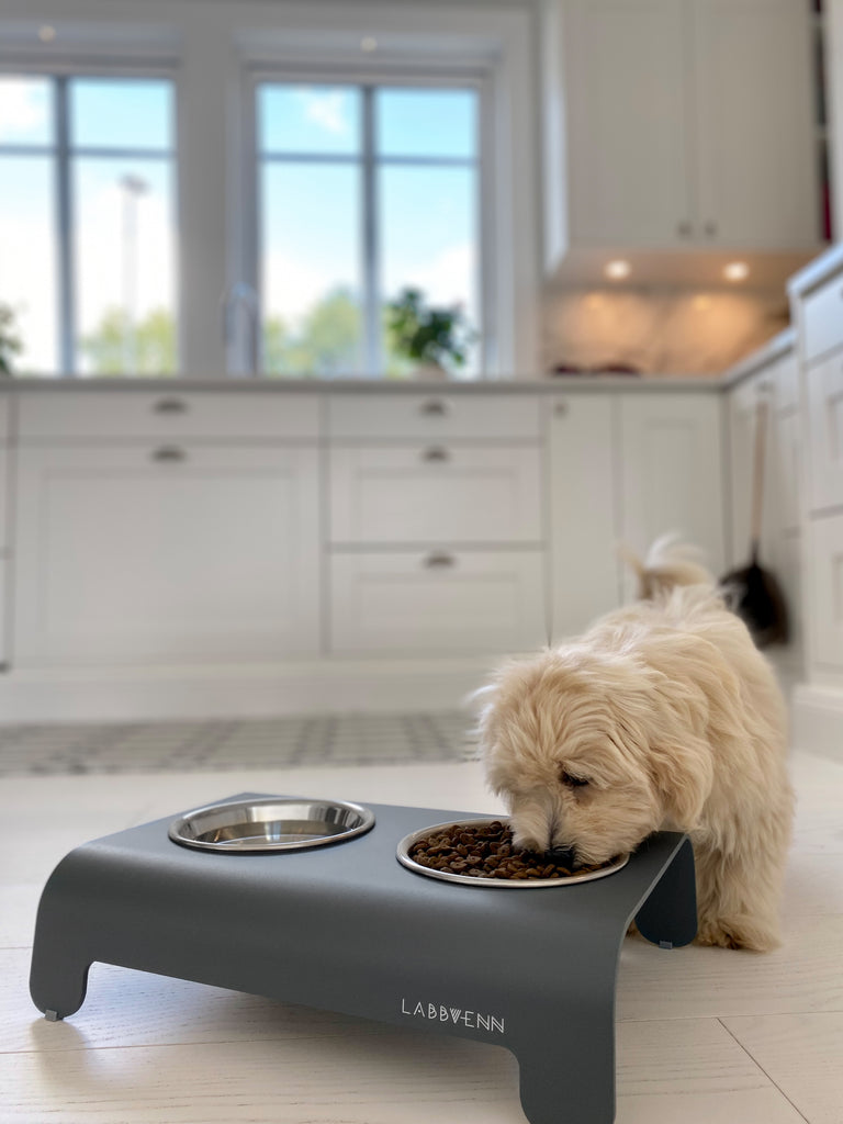 dobbelt hundeskål til store hunde