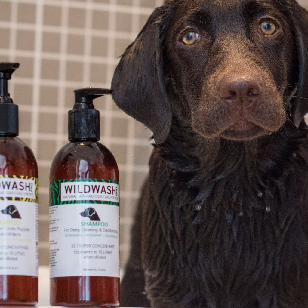 Allergi hundeshampoo/Hvalpeshampoo - Luxvuf.dk