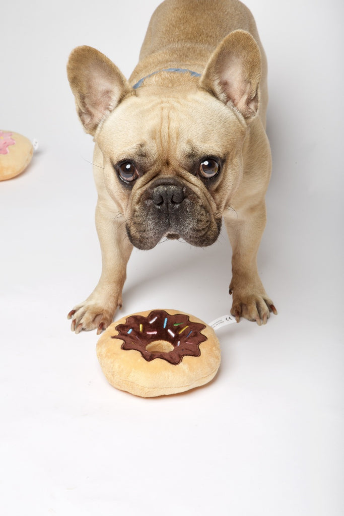 donut hundelegetøj