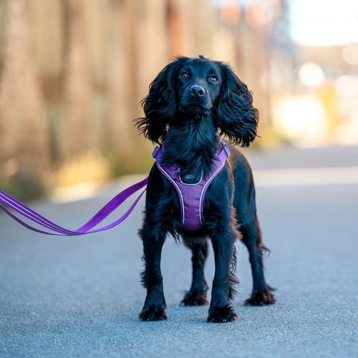 hundesele til små hunde