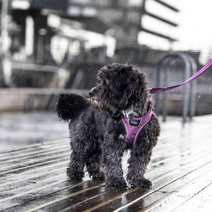 slidstærk hundesele