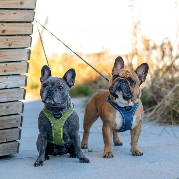 vandafvisende hundesele