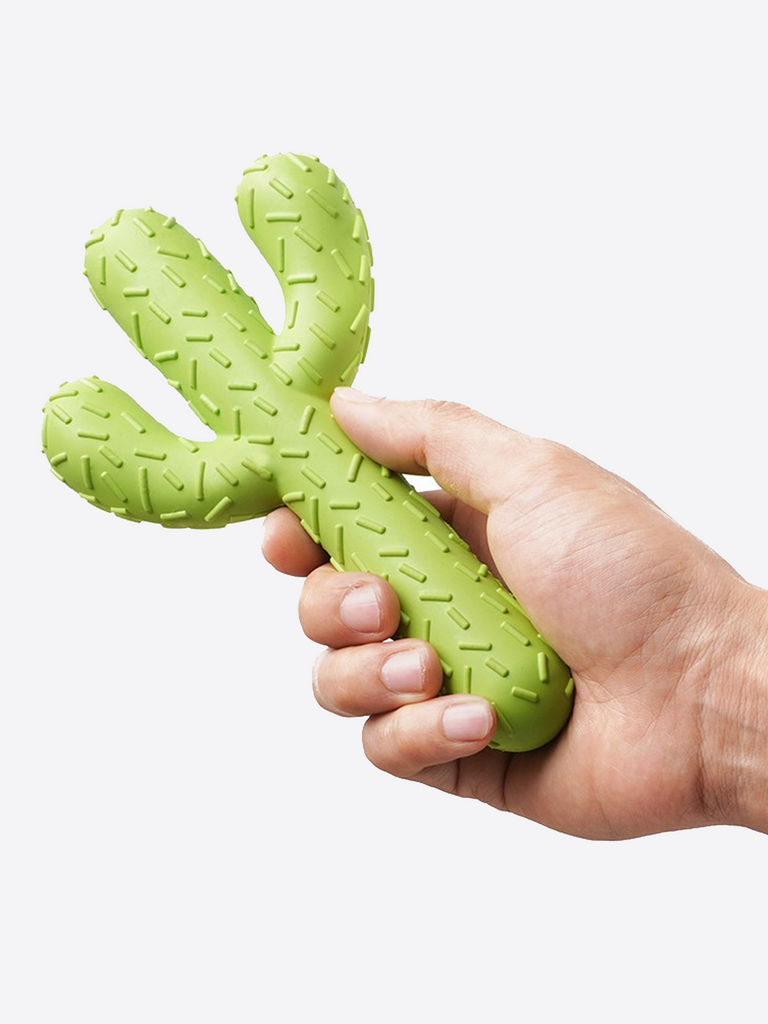 kaktus legetøj