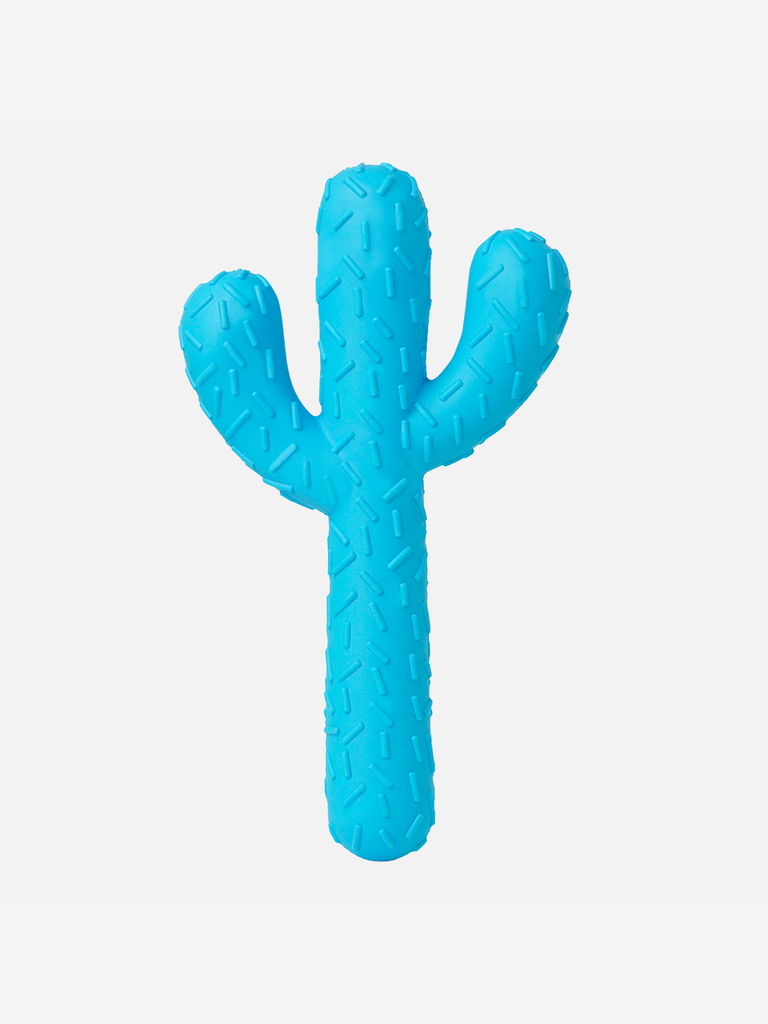 kaktus legetøj