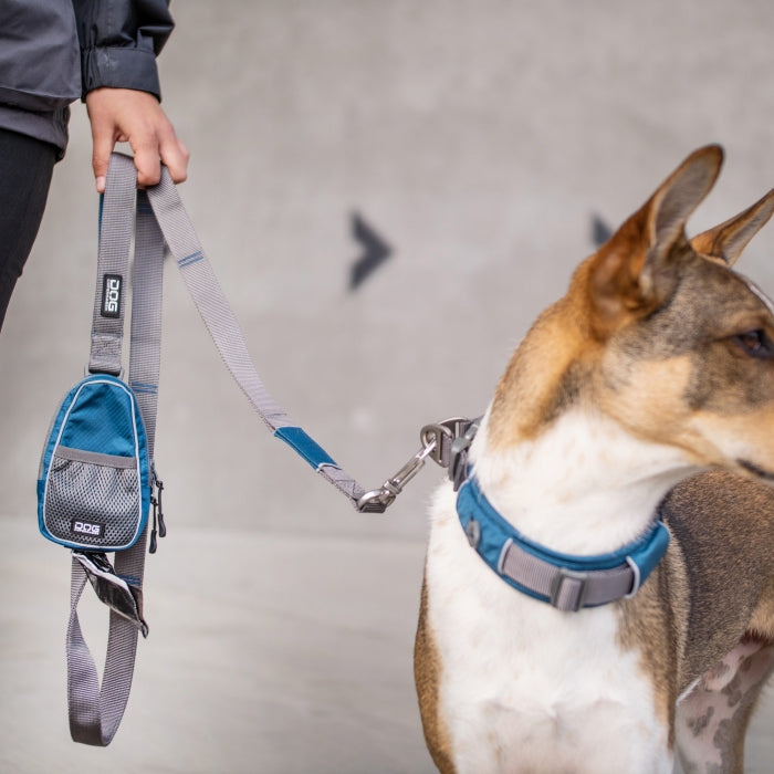 praktisk line til hunde